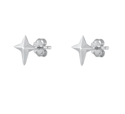 Star Shine Post Earrings